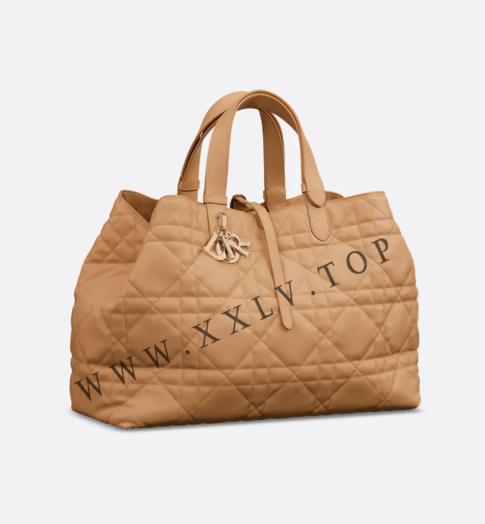 Large Dior Toujours Bag - Image 4