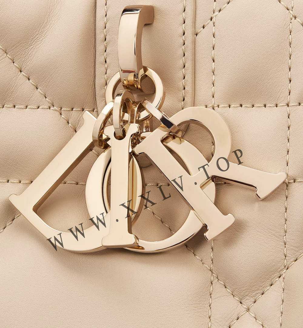 Large Dior Toujours Bag - Image 2