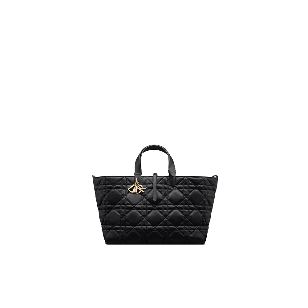 Large Dior Toujours Bag