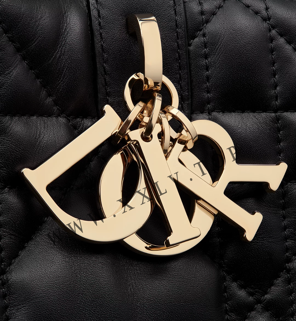 Large Dior Toujours Bag - Image 2