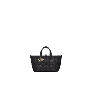 Medium Dior Toujours Bag