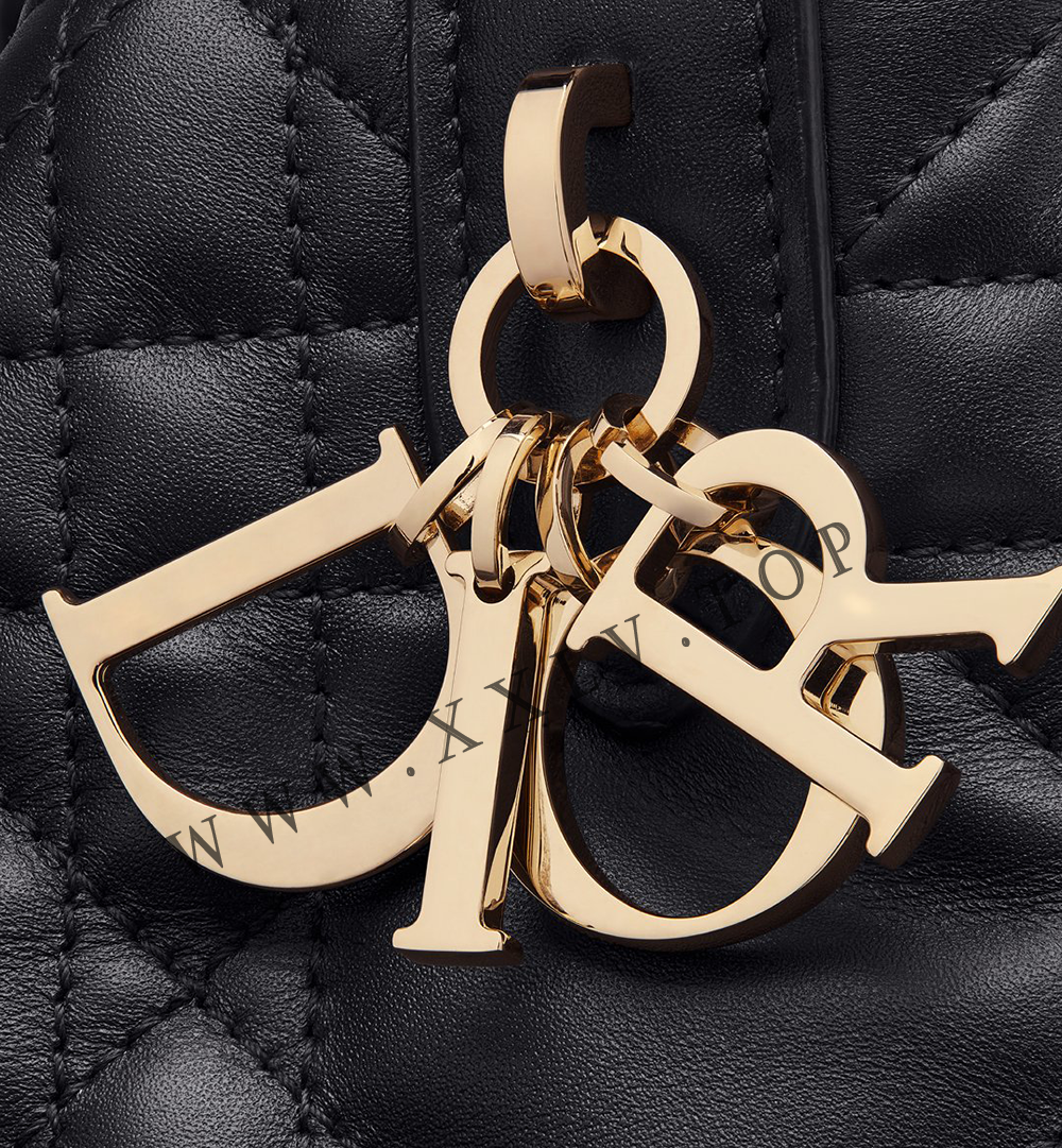 Small Dior Toujours Bag - Image 3