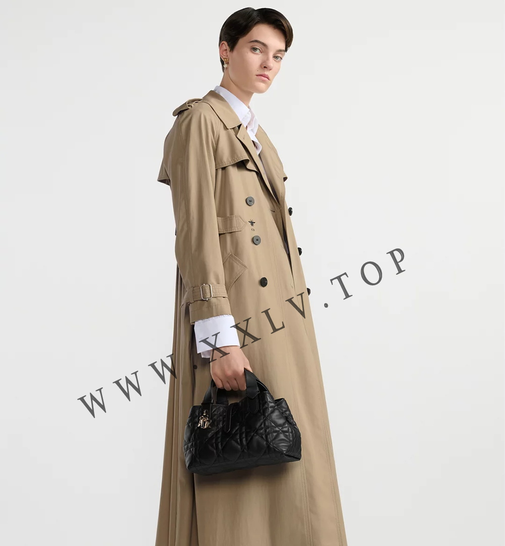 Small Dior Toujours Bag - Image 2