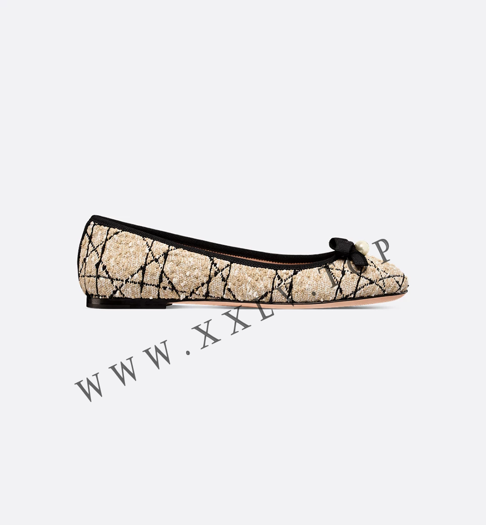 Dior Ballet Flat - Image 5