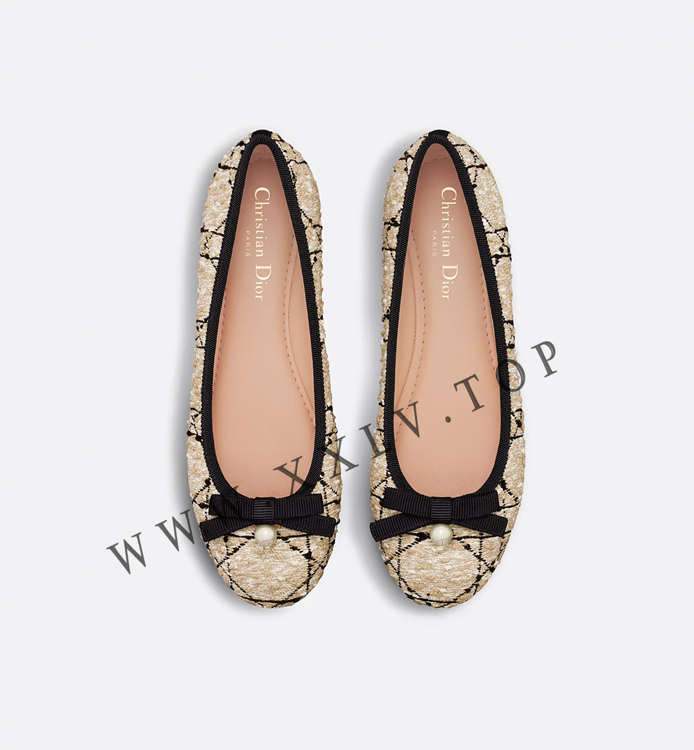 Dior Ballet Flat - Image 4