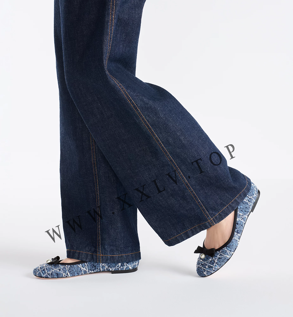 Dior Ballet Flat - Image 4