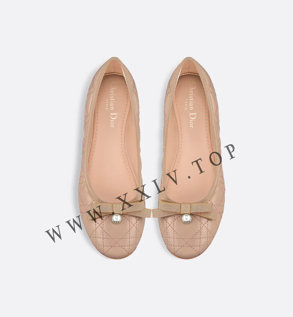 Dior Ballet Flat - Image 4