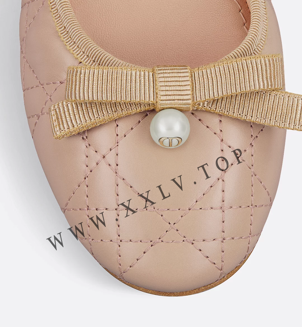 Dior Ballet Flat - Image 5