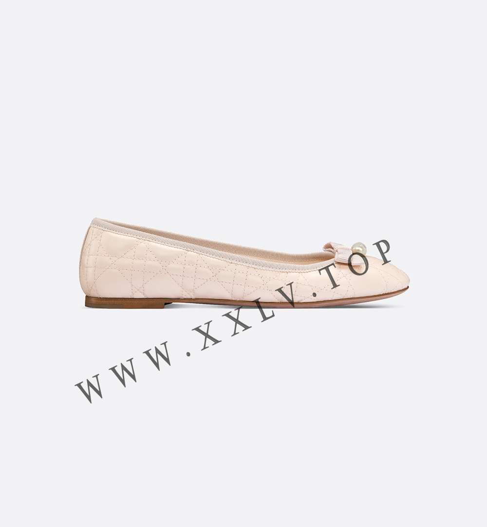 Dior Ballet Flat - Image 5
