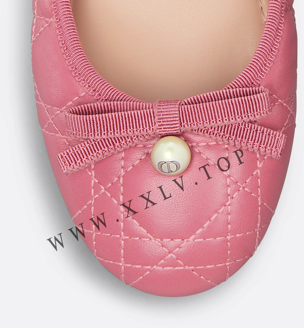 Dior Ballet Flat - Image 2