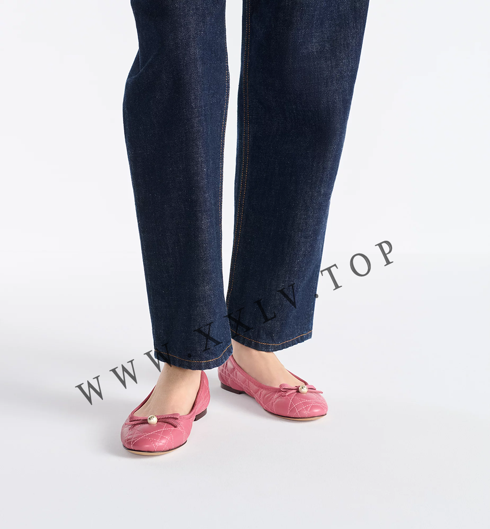 Dior Ballet Flat - Image 3