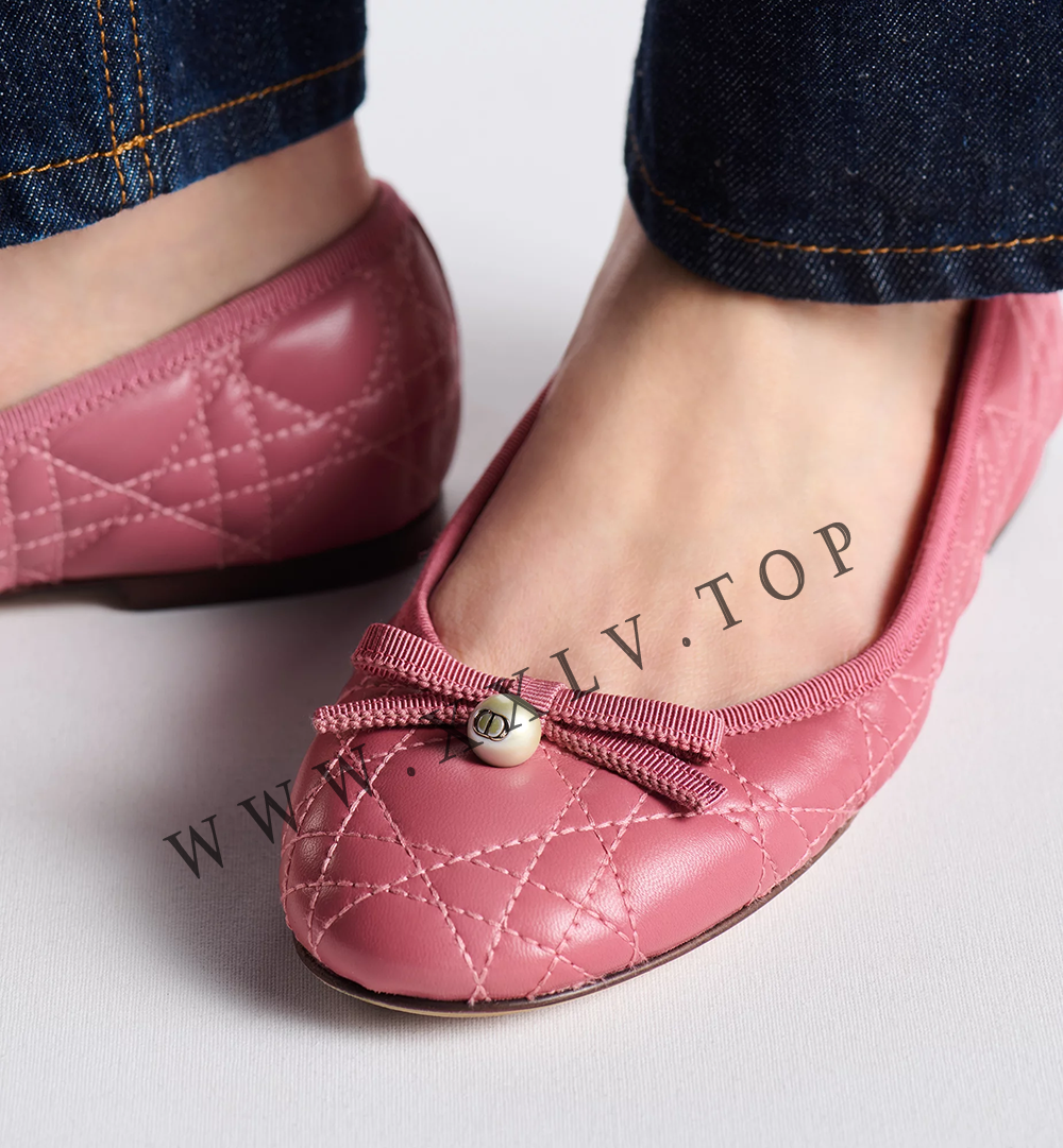 Dior Ballet Flat - Image 5