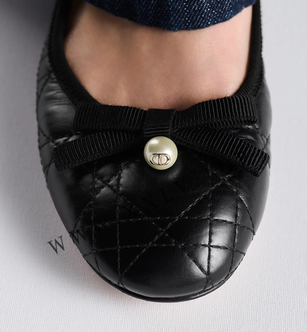 Dior Ballet Flat - Image 4