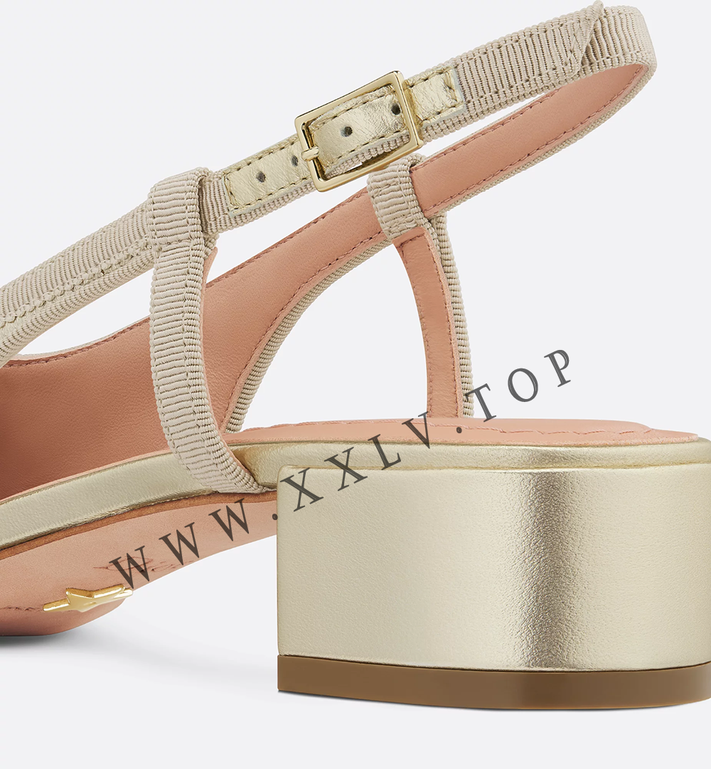 Dior Ballet Slingback Pump - Image 2