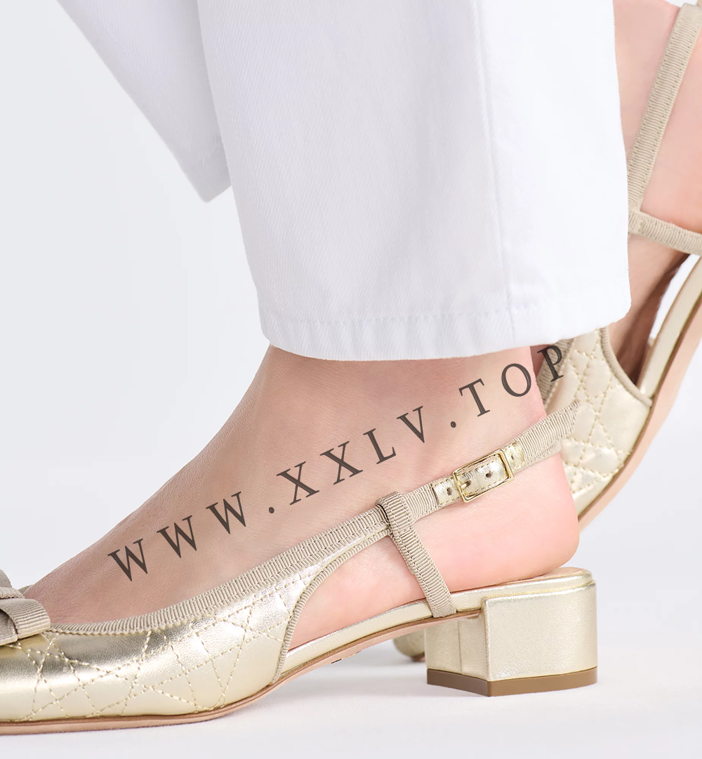 Dior Ballet Slingback Pump - Image 4