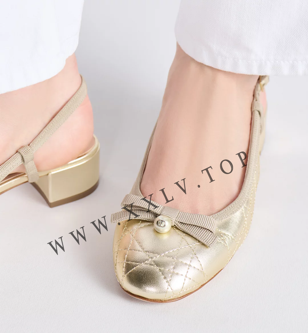 Dior Ballet Slingback Pump - Image 5