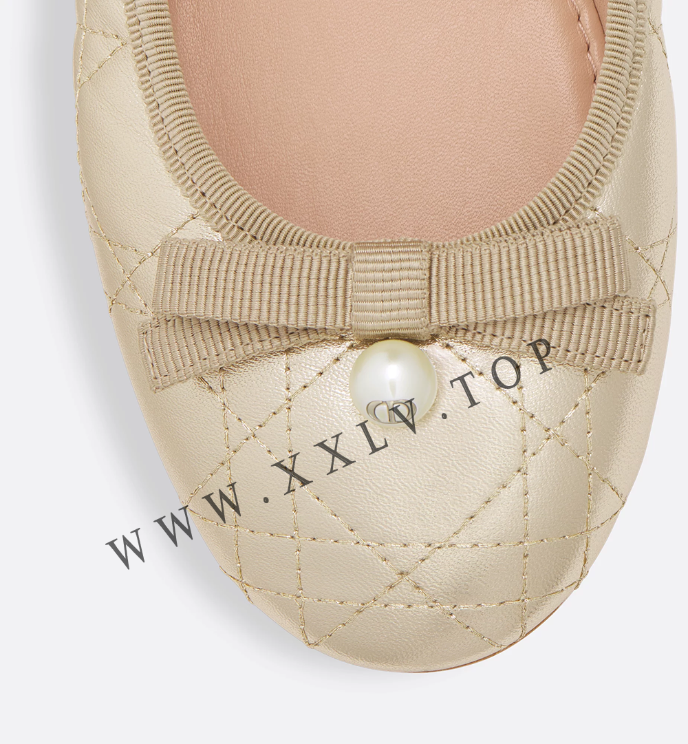 Dior Ballet Flat - Image 5