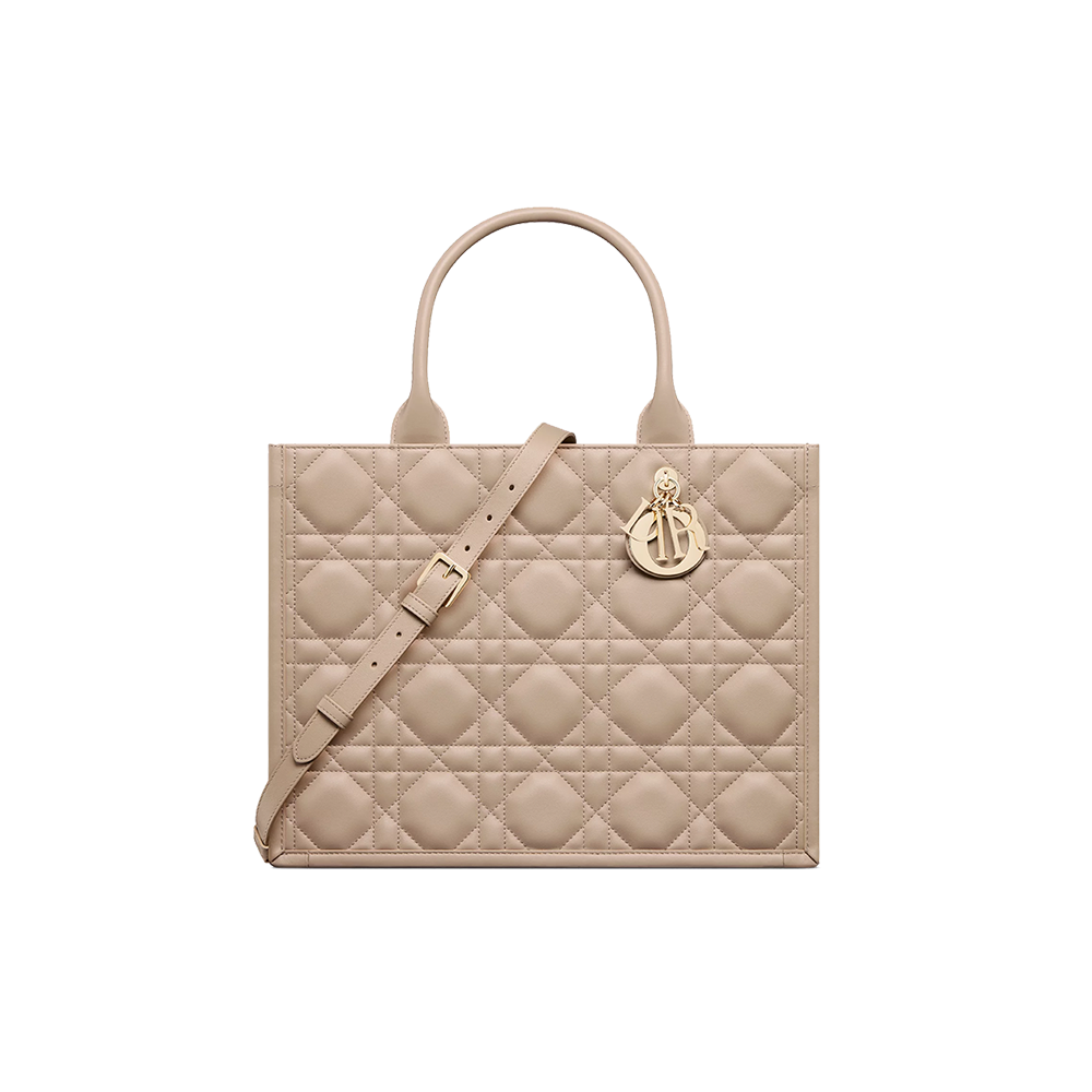 Medium Dior Book Tote