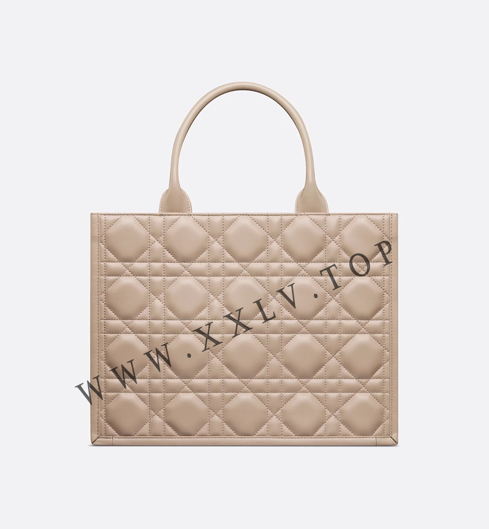 Medium Dior Book Tote - Image 5