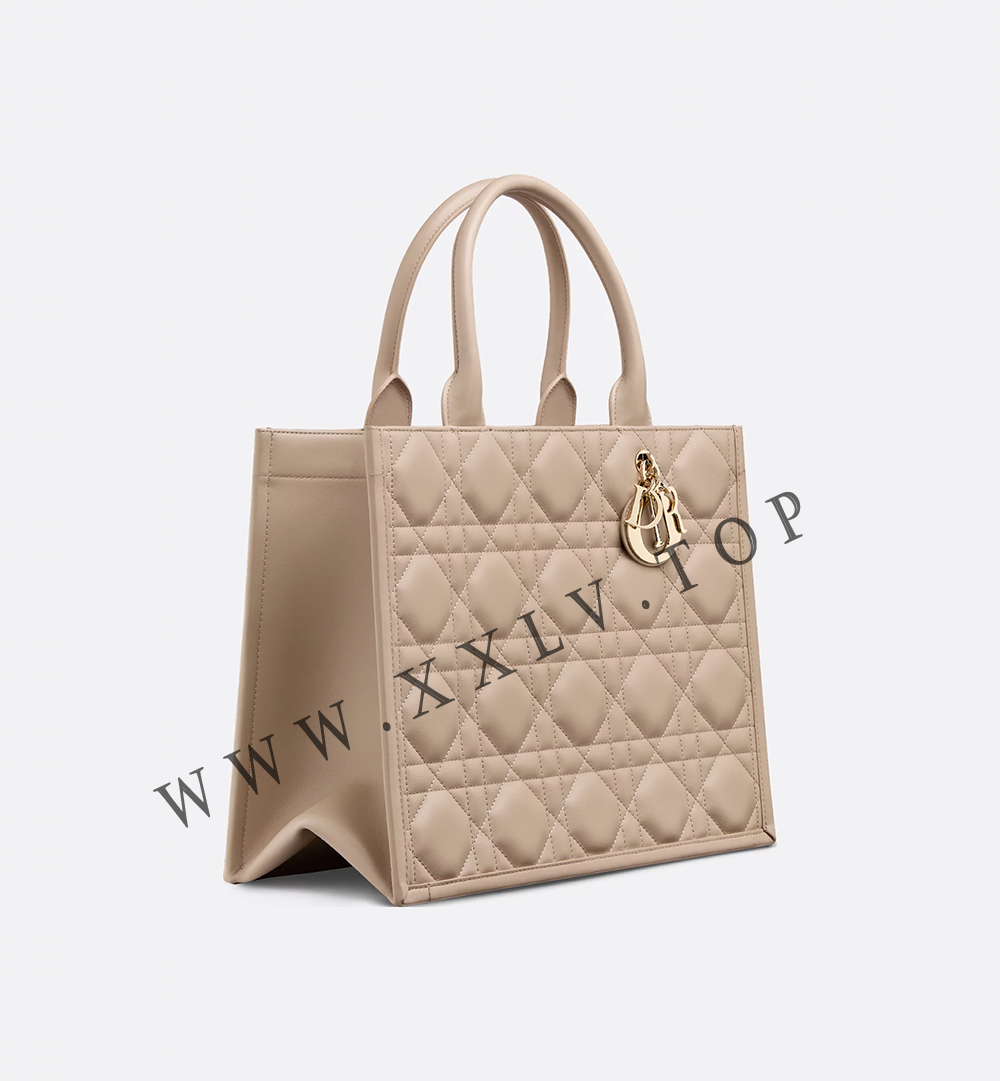 Medium Dior Book Tote - Image 4