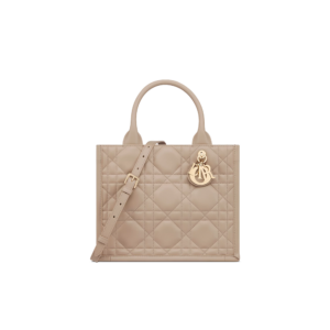 Small Dior Book Tote