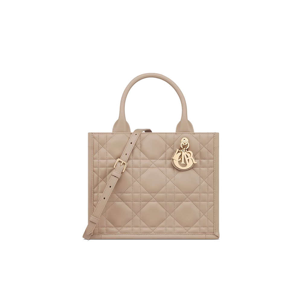 Small Dior Book Tote