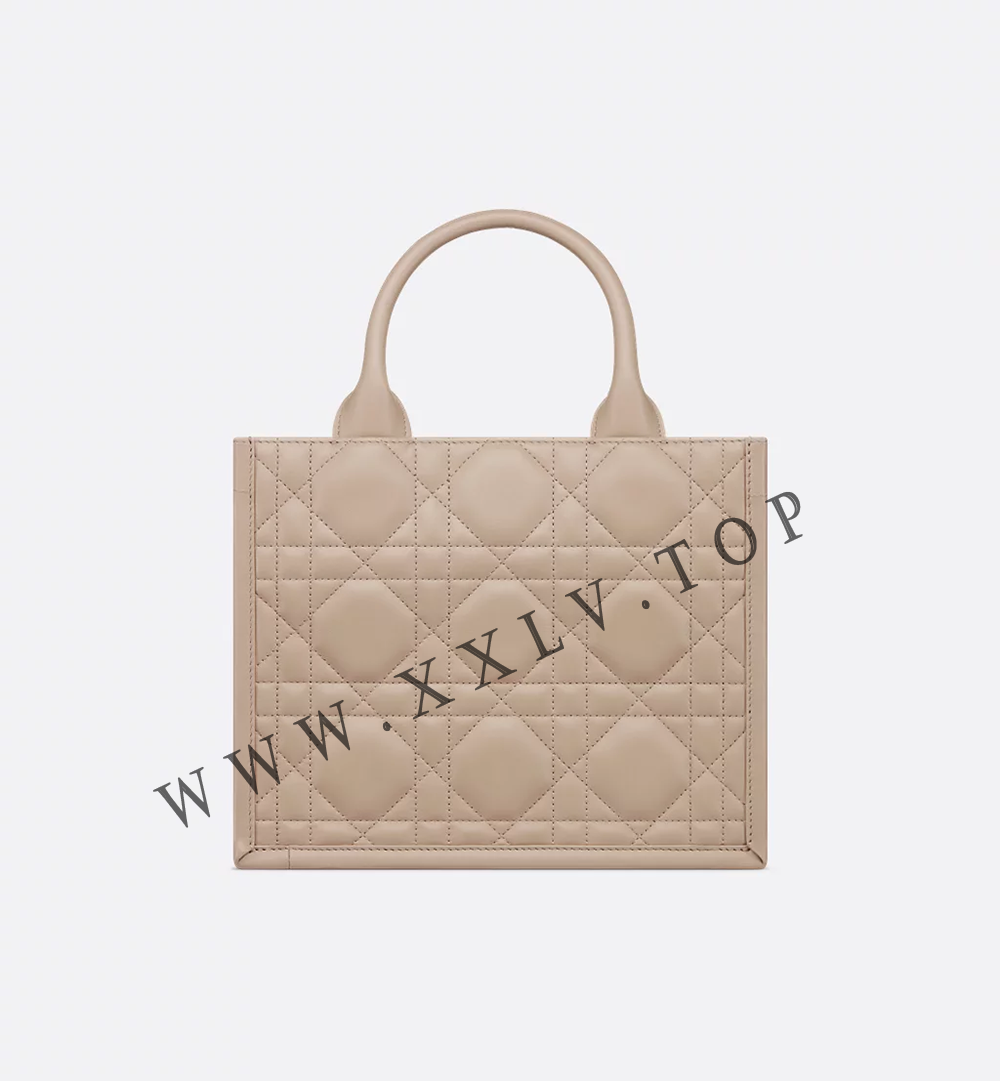 Small Dior Book Tote - Image 5