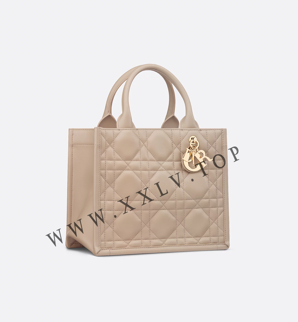 Small Dior Book Tote - Image 4