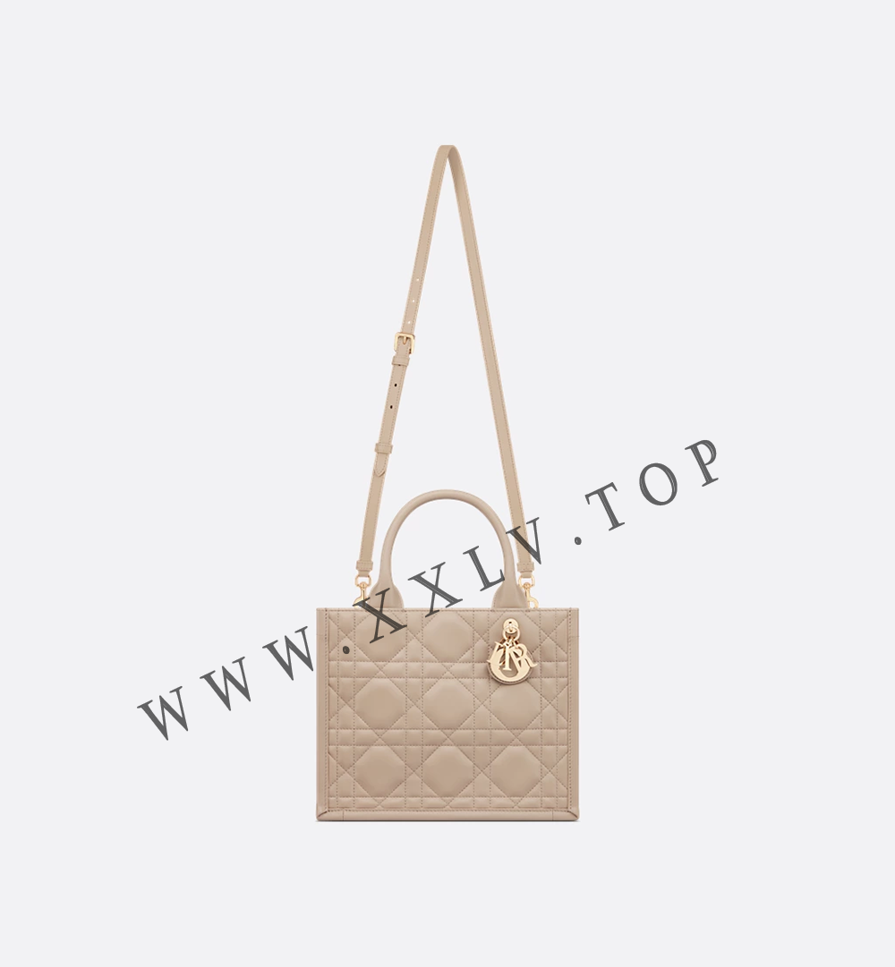 Small Dior Book Tote - Image 2