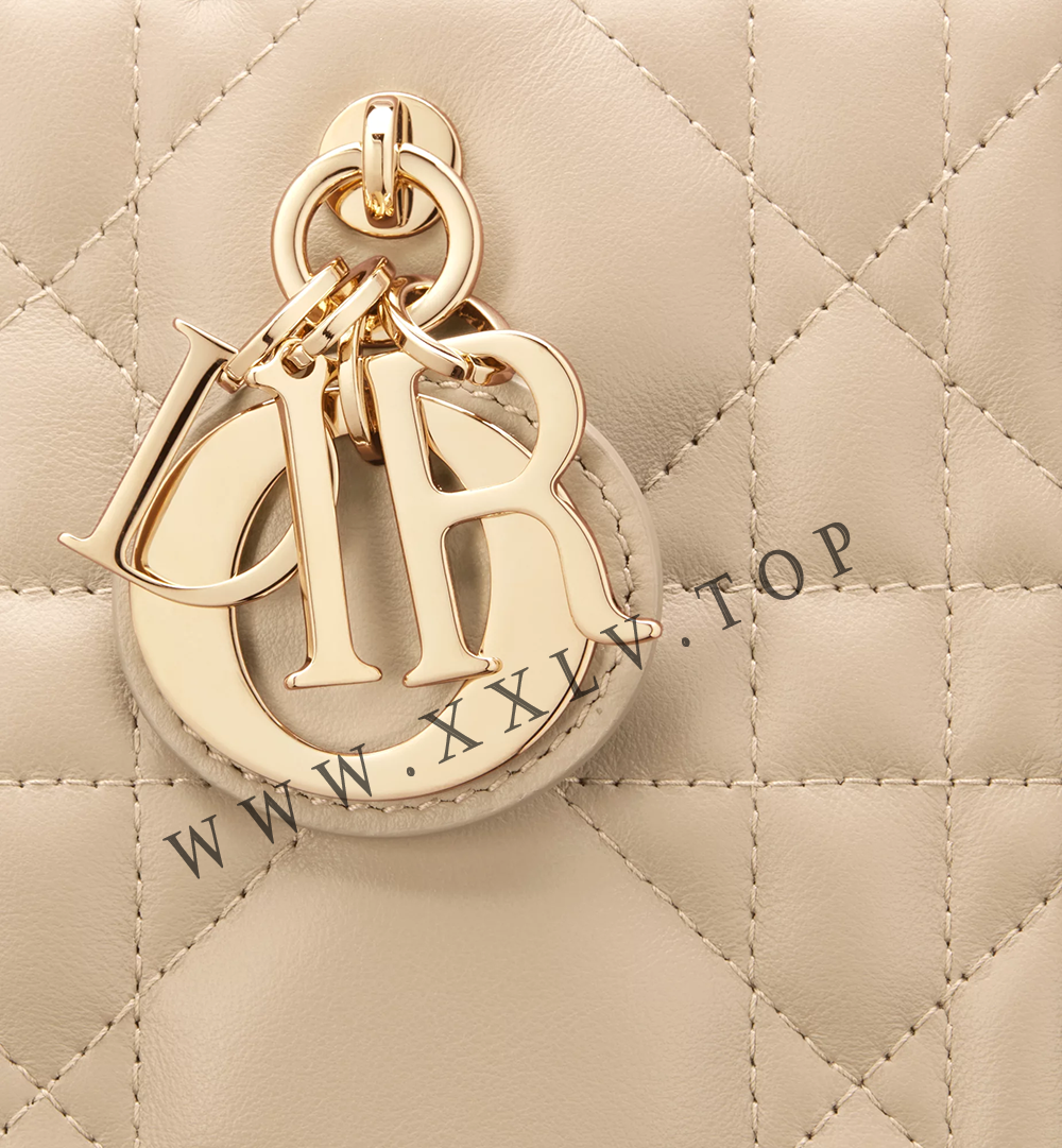 Small Dior Book Tote - Image 3