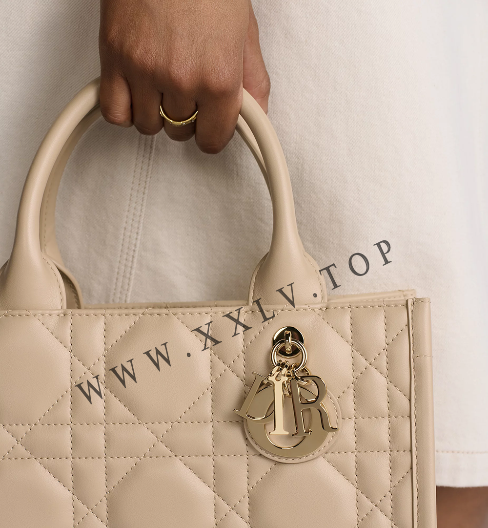 Small Dior Book Tote - Image 2