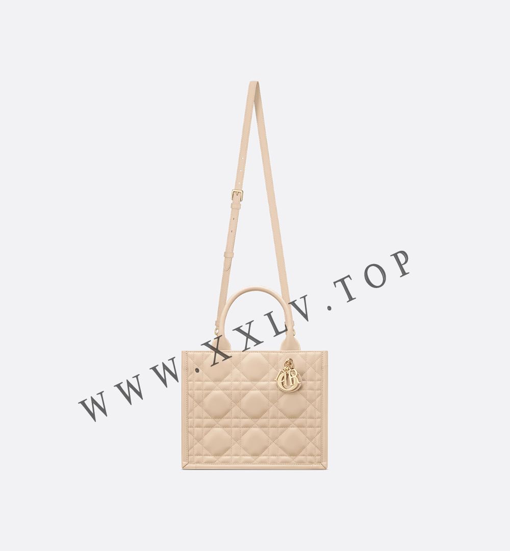 Small Dior Book Tote - Image 5
