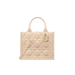 Small Dior Book Tote