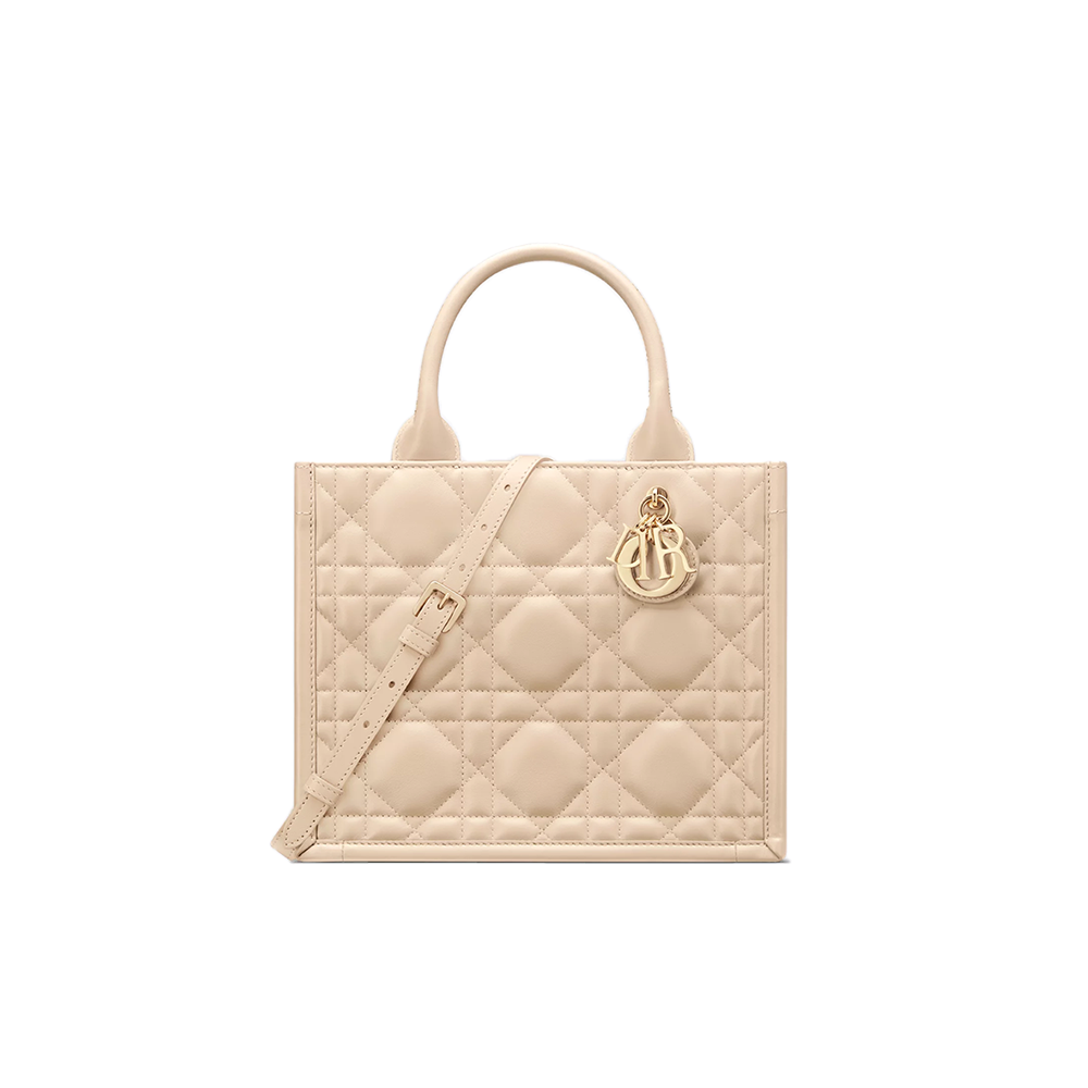 Small Dior Book Tote