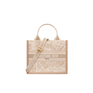 Small Dior Book Tote