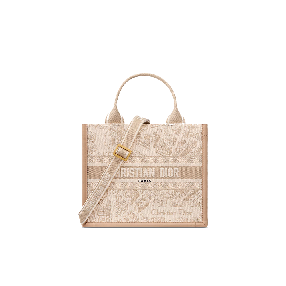 Small Dior Book Tote