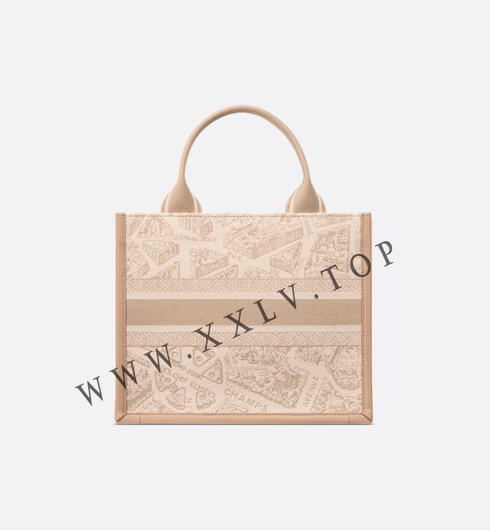 Small Dior Book Tote - Image 4
