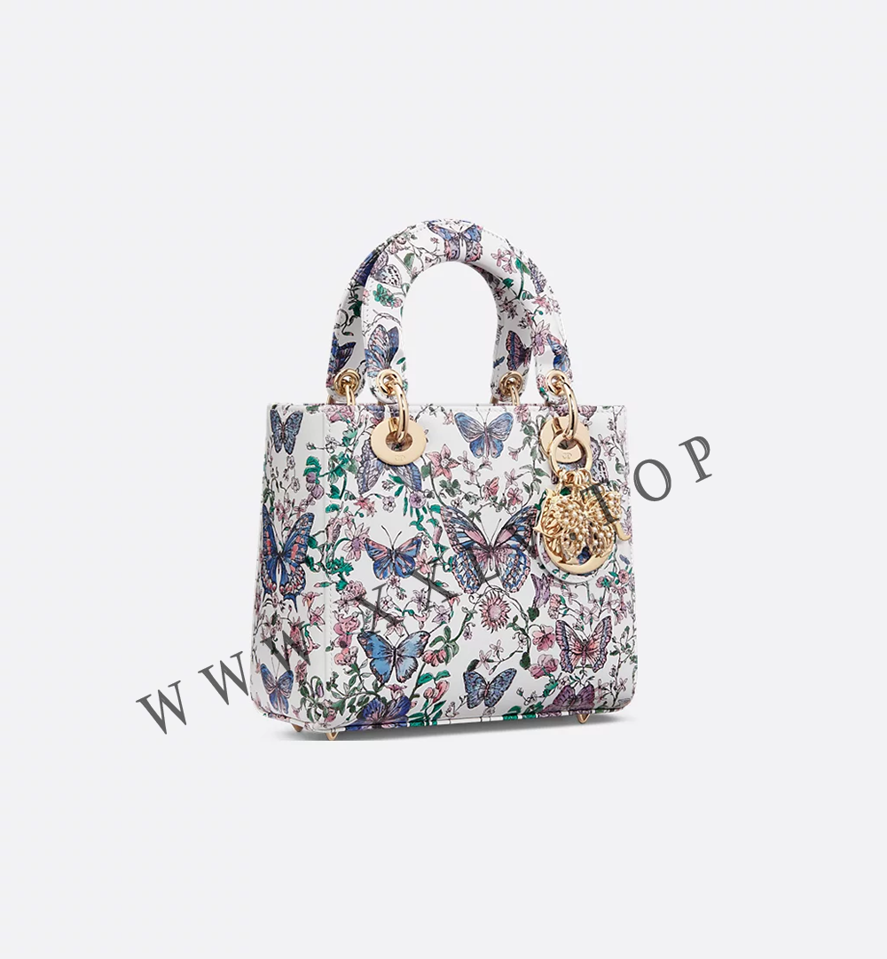 Small Lady Dior Bag - Image 5