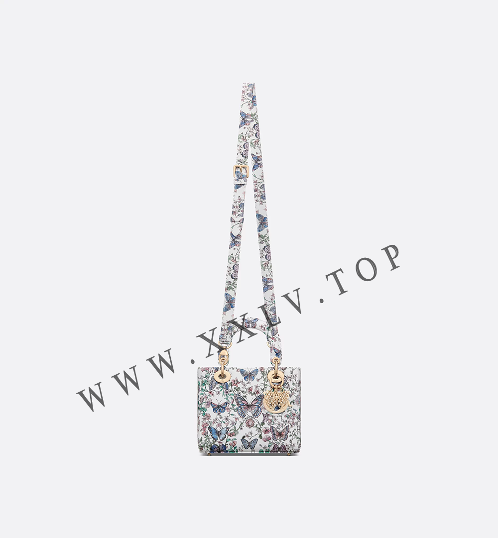Small Lady Dior Bag - Image 4