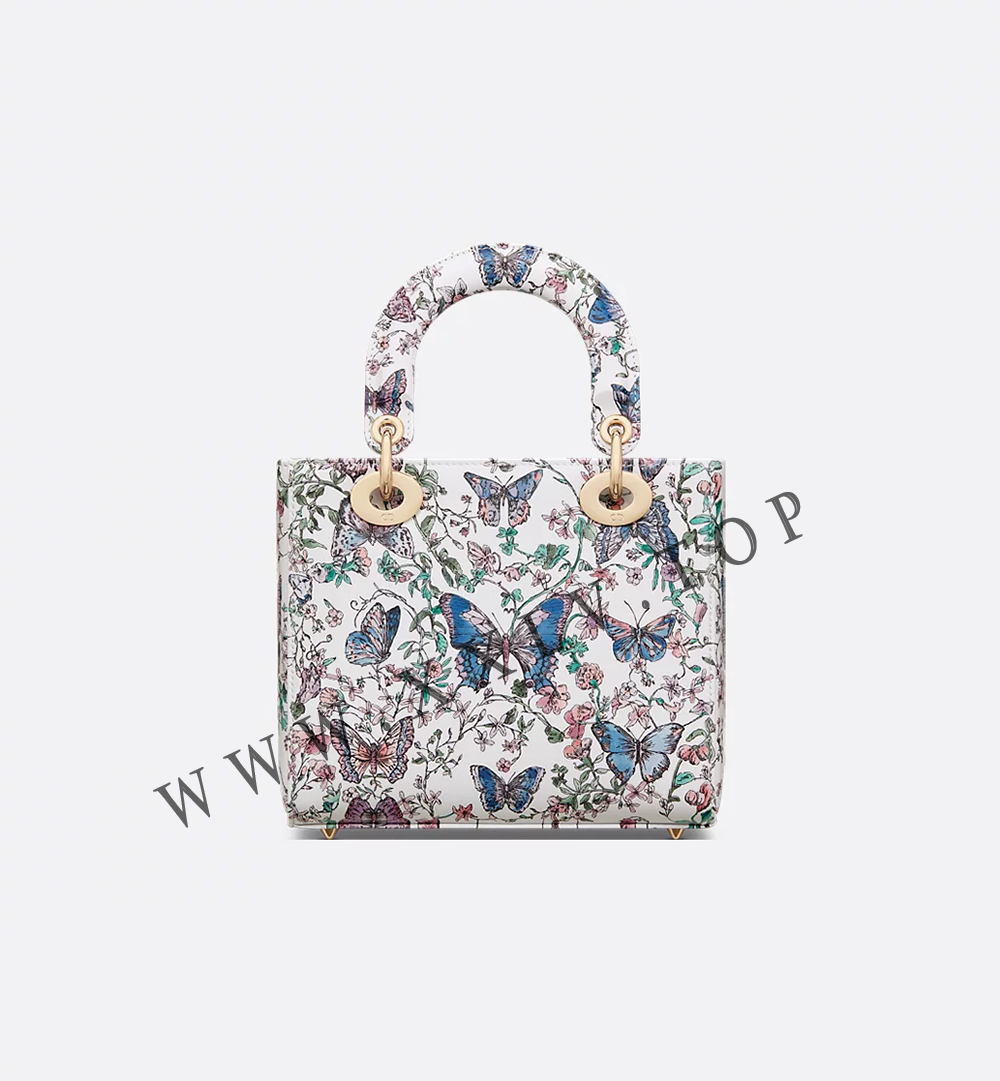 Small Lady Dior Bag - Image 2