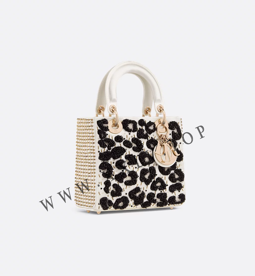 Small Lady Dior Bag - Image 4