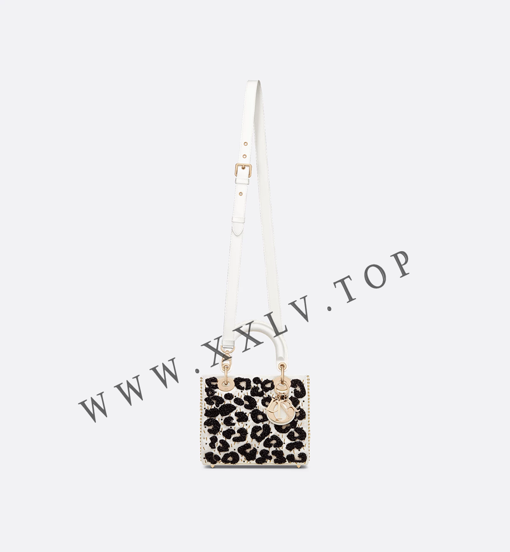 Small Lady Dior Bag - Image 2
