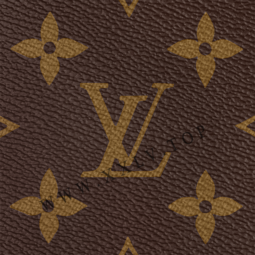 M46977 CUSTOMIZABLE Speedy Bandoulière 25 - Image 4