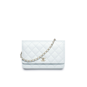 Classic Wallet on Chain  AP4241