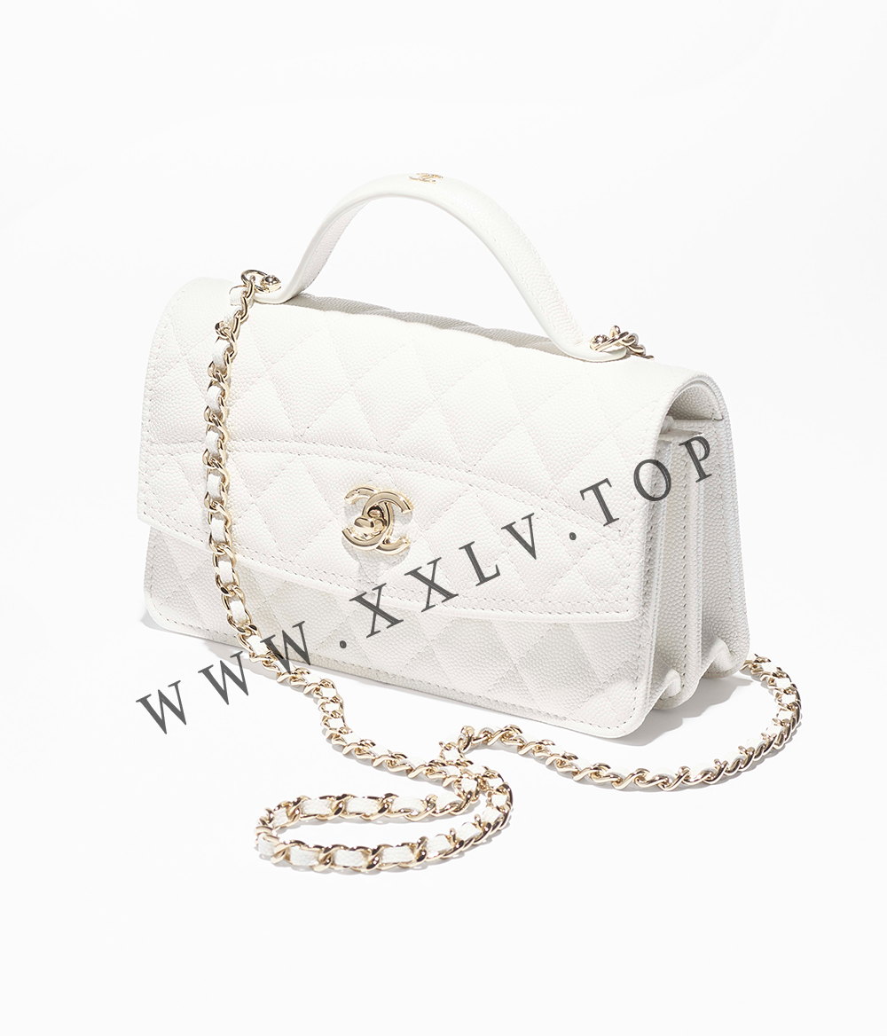 AP4402 Clutch with Chain - Image 2