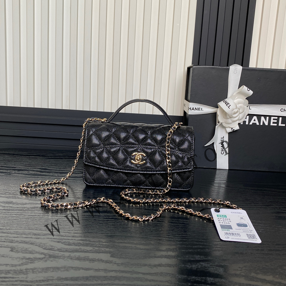 AP4402 Clutch with Chain - Image 3
