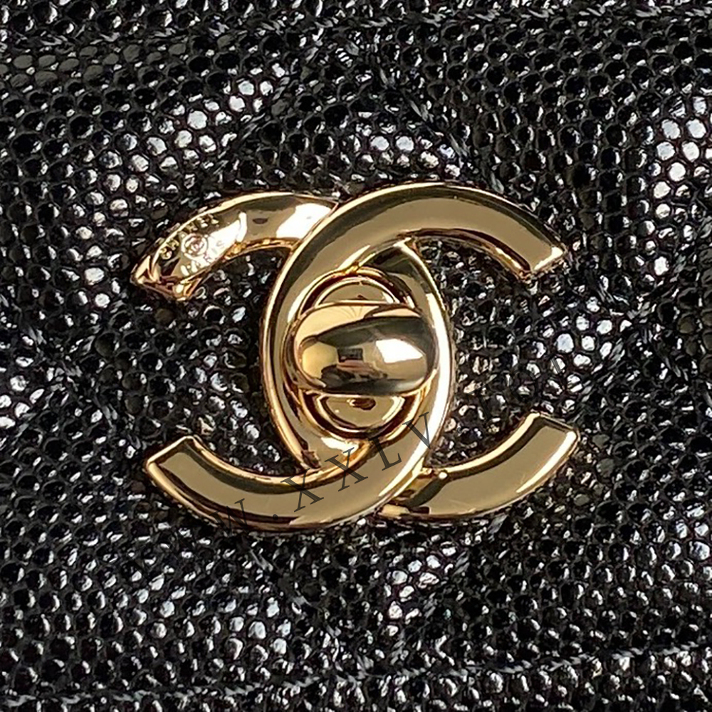 AP4402 Clutch with Chain - Image 5