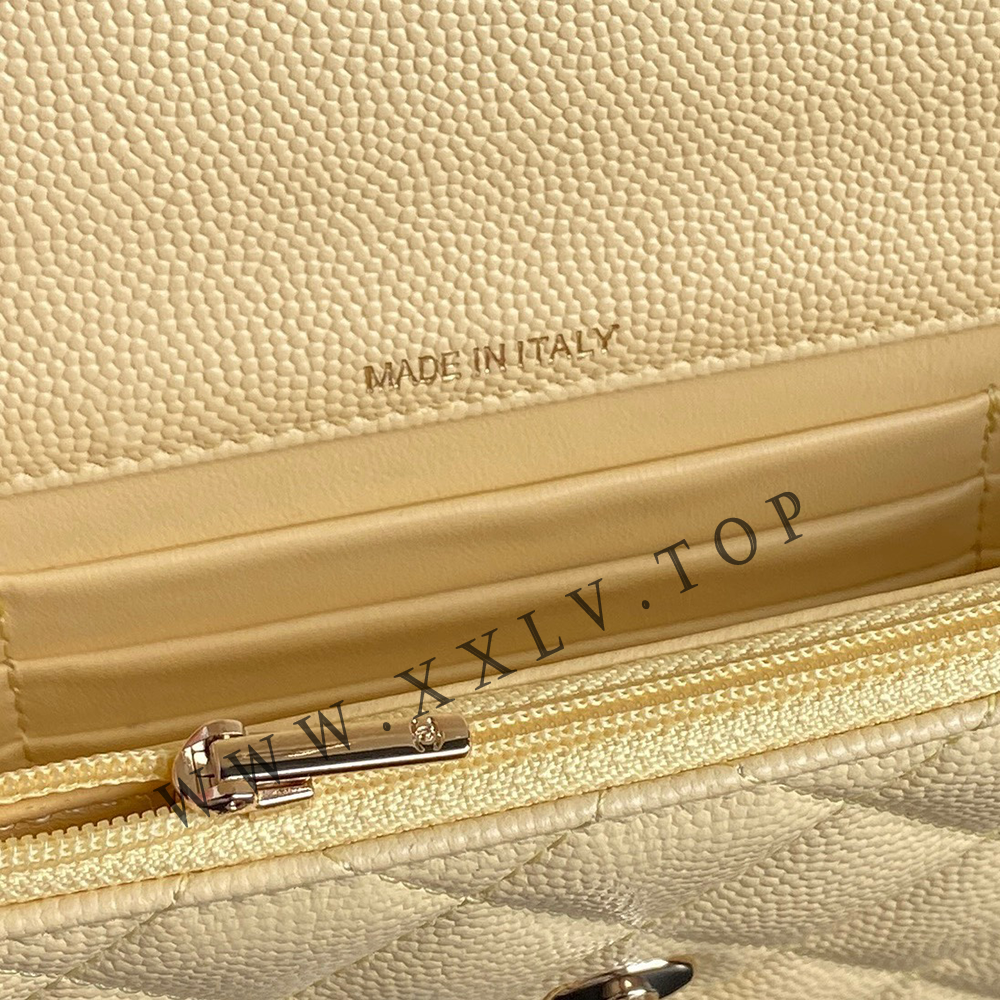 AP4402 Clutch with Chain - Image 5