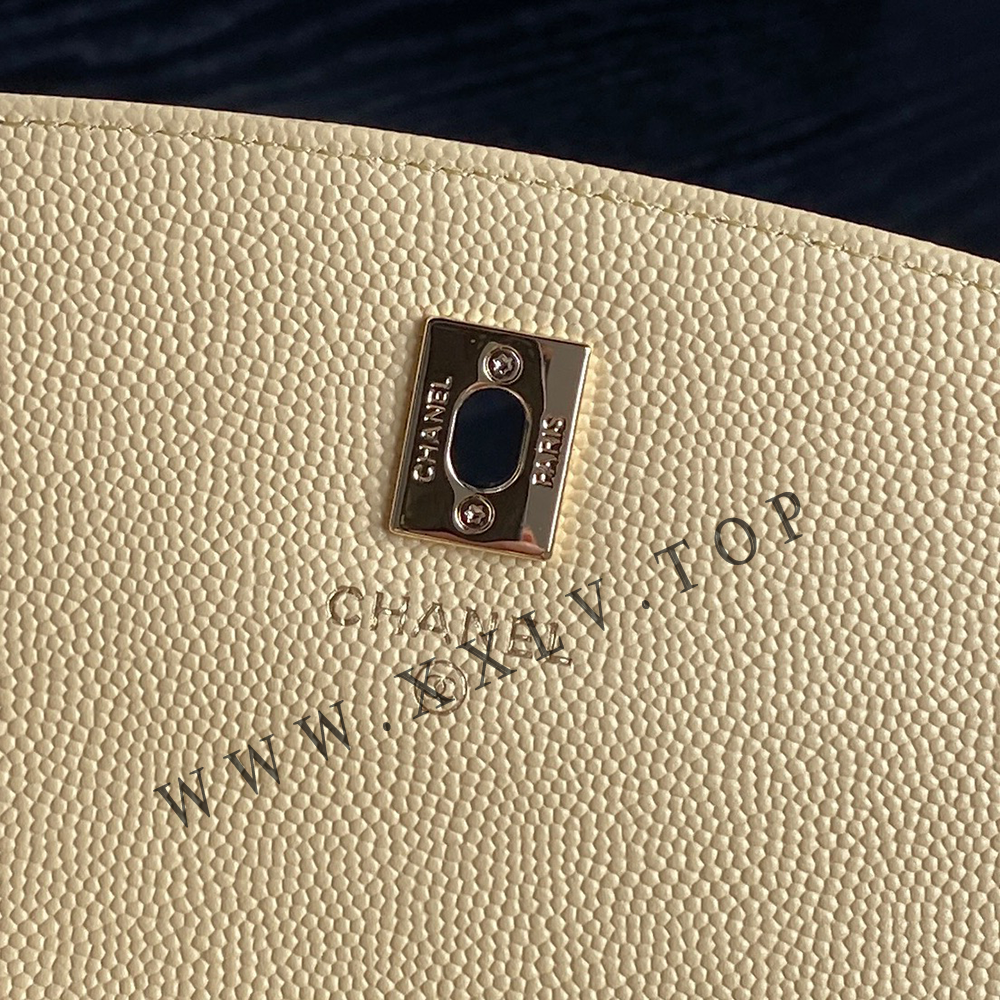 AP4402 Clutch with Chain - Image 4