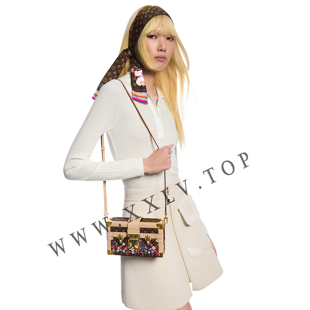 M13667 LV x TM Petite Malle - Image 3